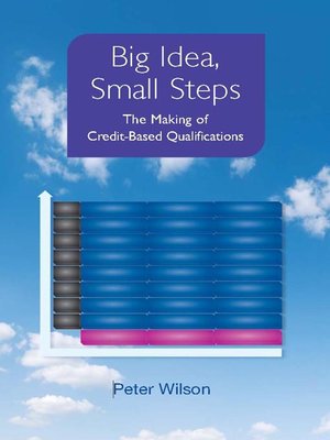 cover image of Big Idea, Small Steps